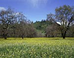 Highway 80, Early Spring - 1989, Copyright 1989, Arnold J. Dubnick -- Click to Expand...