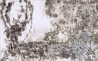Metal, Copyright 2003, Carol Mangan -- Click to Expand...