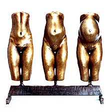 Evolution in 3 Acts, Copyright 2005, Kevin Petelle -- Click to Expand...