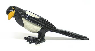 Magpie, Copyright 2005, Eric Dahlin -- Click to Expand...