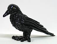 Crow, Copyright 2005, Eric Dahlin -- Click to Expand...
