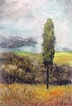 Lone Cypress, Copyright 2005, Paula Wenzl -- Click to Expand...