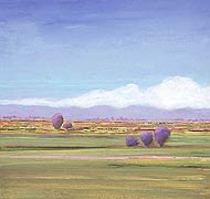 Near Fairfield, Copyright 2005, Laurie Winthers -- Click to Expand...