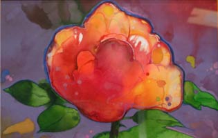 Pink Peony, Copyright 1989, Gary Pruner -- Click to Expand...