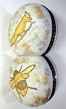 Mitosis II, Copyright 2007, Ianna Frisby -- Click to Expand...
