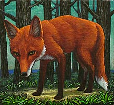 Fox, Copyright 2009, John 		Tarahteeff -- Click to Expand...