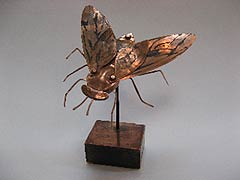 Horsefly, Copyright 2008, Ken Kalman -- Click to Expand...