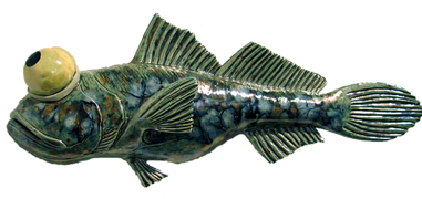 Goby 1, Copyright 2010, Fred Gordon -- Click to Expand...