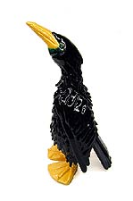 Green Neck Cormorant, Copyright 2008, Eric Dahlin -- Click to Expand...