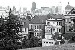 Painted Ladies, Copyright 1982, The Estate of Arnold J. Dubnick -- Click to Expand...