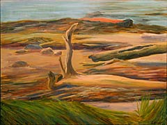 Beach Debris, Maine, Copyright 2004, Jessica Dunne -- Click to Expand...