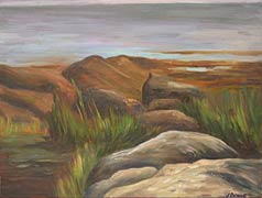 Rocks and Grass, Maine II, Copyright 2004, Jessica Dunne -- Click to Expand...