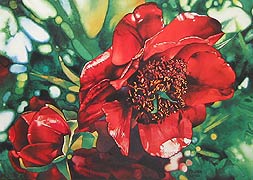 Peony, Copyright 1982, Gary Pruner -- Click to Expand...