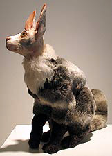 Exotic Shortpile Cat, Copyright 2001, Gerald Heffernon -- Click to Expand...