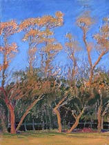 Catching Sunset #2, Copyright 2006, Diana Jahns -- Click to Expand...