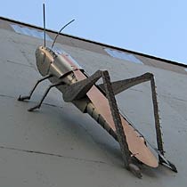 Grasshopper, Copyright 2008, Ken Kalman -- Click to Expand...
