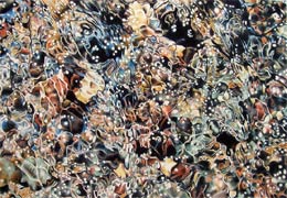 Carson River, Copyright 2006, Ken Waterstreet -- Click to Expand...