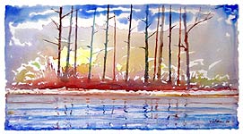 Shoreline Pines, Copyright 2006, Larry Welden -- Click to Expand...