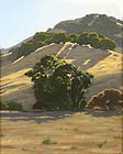 Oak Crown over Eucalyptus, Copyright 2002, Christopher Newhard -- Click to Expand...