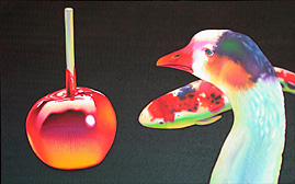 Apple, Duck, Koi, Copyright 1988, Gary Pruner -- Click to Expand...