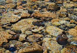 Merced River, Copyright 2006, Upcoming Exhibitions -- Click to Expand...