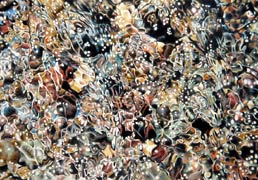 Search for the Source, Copyright 2006, Upcoming Exhibitions -- Click to Expand...