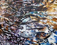 Upper Sac, Copyright 2006, Upcoming Exhibitions -- Click to Expand...