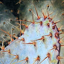 Pale Blue Paddle, Copyright 2008, Paula Wenzl-Bellacera -- Click to Expand...