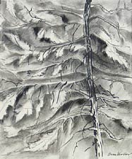 Night Tree, Copyright 2004, Gloria Woolley -- Click to Expand...