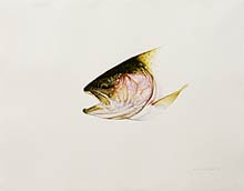 Edward Novinsky, Copyright 2002, "Bronze Rainbow (Davis Lake)" -- Click to Expand...
