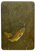 Carol H. Shepherd&nbsp;, Copyright 2002, "Cutthroat Chicanery" -- Click to Expand...