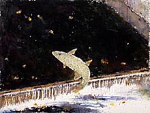 R. Wagner&nbsp;, Copyright 2002, "Fish Ladder" -- Click to Expand...