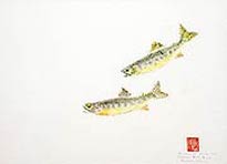 Christopher Dewees, Copyright 2002, "Pair of Golden Trout" -- Click to Expand...