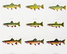 R. Wagner&nbsp;, Copyright 2002, "Trout" -- Click to Expand...