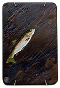 Carol H. Shepherd&nbsp;, Copyright 2002, "Rainbow Persuasion" -- Click to Expand...