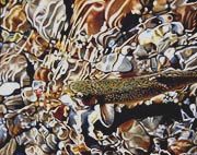 Ken Waterstreet, Copyright 2002, "Revenge of the Brook Trout" -- Click to Expand...