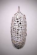 Chrysalis, Copyright 2003, Melody Evans -- Click to Expand...