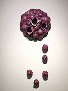 Clone, Copyright 2003, Melody Evans -- Click to Expand...