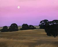 Twilight Dreams - Scott Road 1, Copyright 2003, Chris Newhard -- Click to Expand...