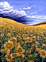 Sunflowers, Copyright 2003, Cie Goulet -- Click to Expand...