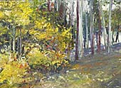 Fall Woods, Copyright 2002, Ann Rea -- Click to Expand...
