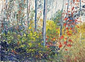 Shedding Fall, Copyright 2002, Ann Rea -- Click to Expand...
