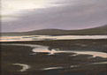 Estero Ebb I, Drake's Estero, Copyright 2004, Christopher Newhard -- Click to Expand...