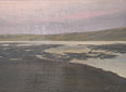 Western Tides, Drake's Estero, Copyright 2004, Christopher Newhard -- Click to Expand...