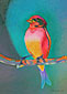 Bird, Copyright 2004, Gary Pruner -- Click to Expand...