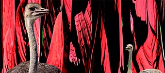 Generation Gap, Copyright 2008, Jessie Qu -- Click to Expand...