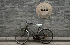 Life Cycle, Copyright 2008, Jessie Qu -- Click to Expand...