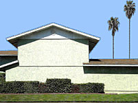 Stansberry Palms, Copyright 2005, Tom Hulse -- Click to Expand...