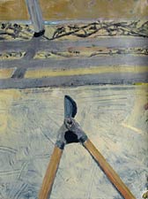 Bougainvillea Shadow and Clippers, Copyright 2009, David Post -- Click to Expand...