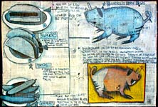 Sushydro EPI, Copyright 2002, John Stuart Berger -- Click to Expand...